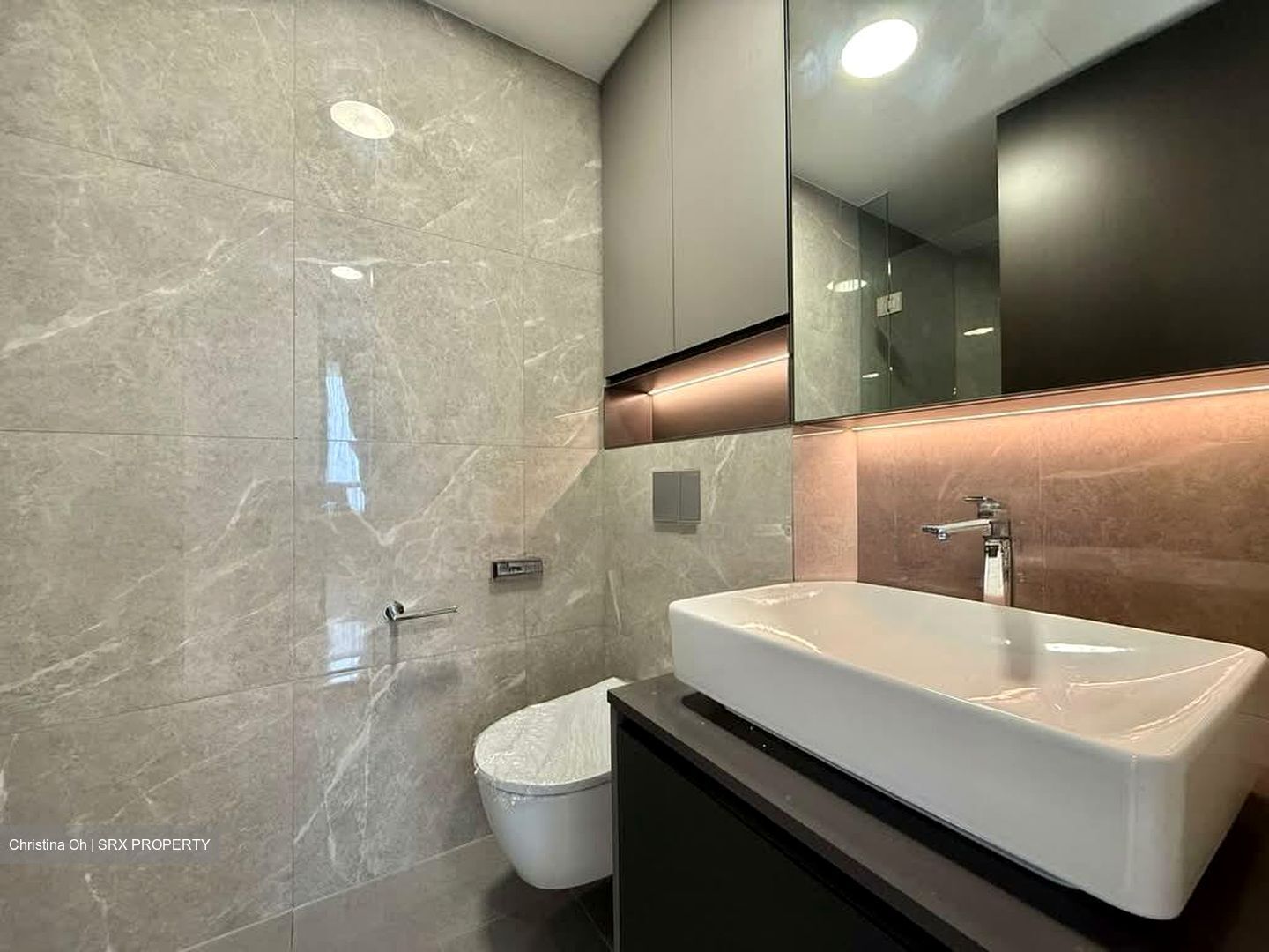 Irwell Hill Residences (D9), Apartment #581363041
